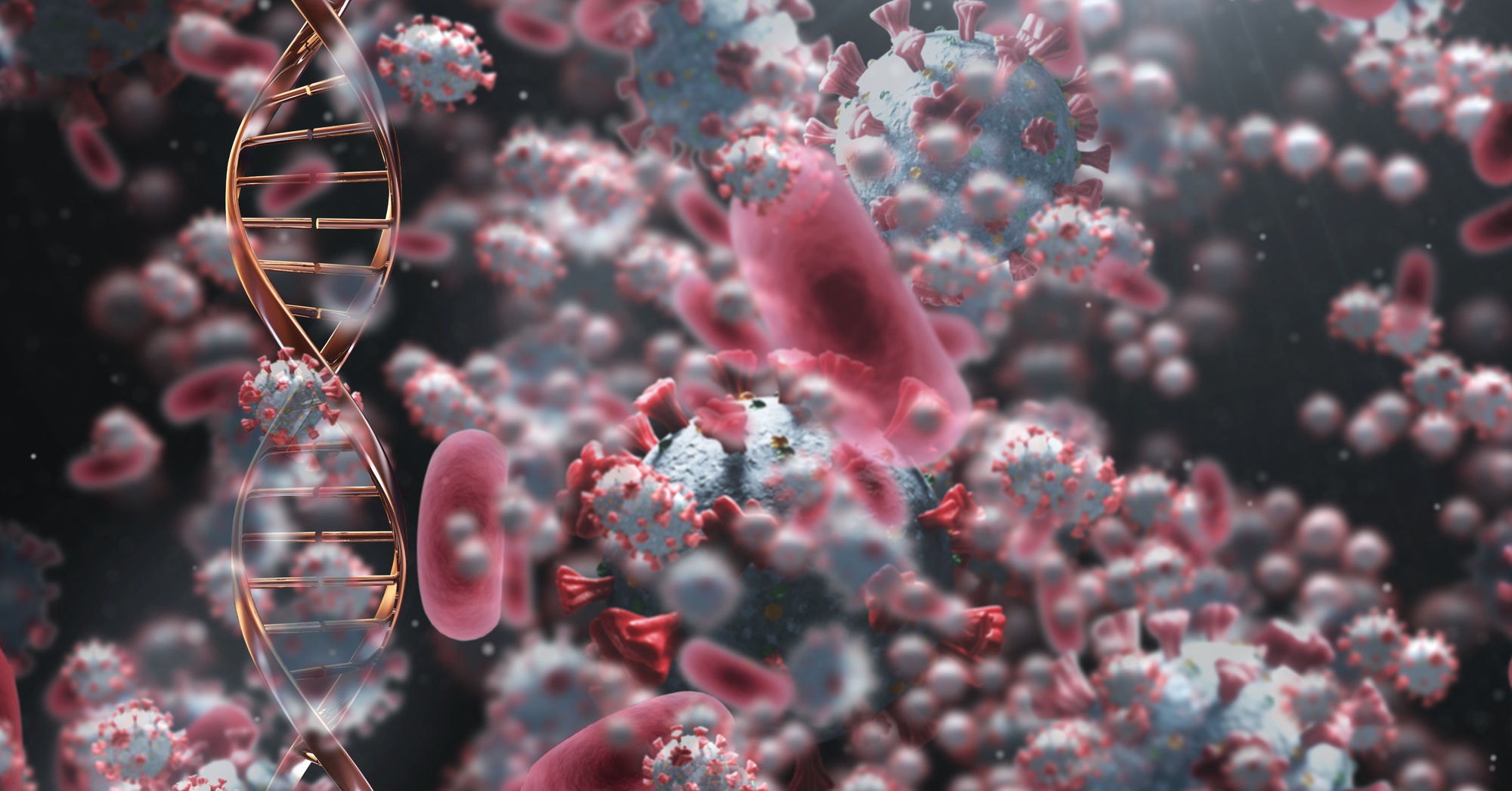 Red cells and DNA strain over macro coronavirus covid19 cells